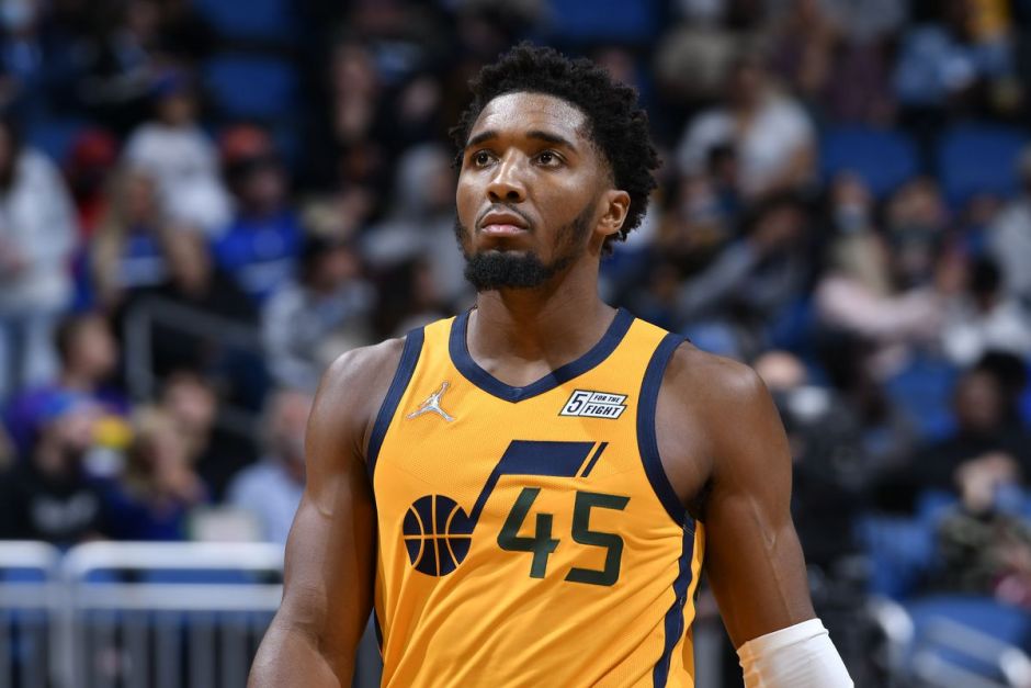 加与欧洲豪 加与欧洲豪